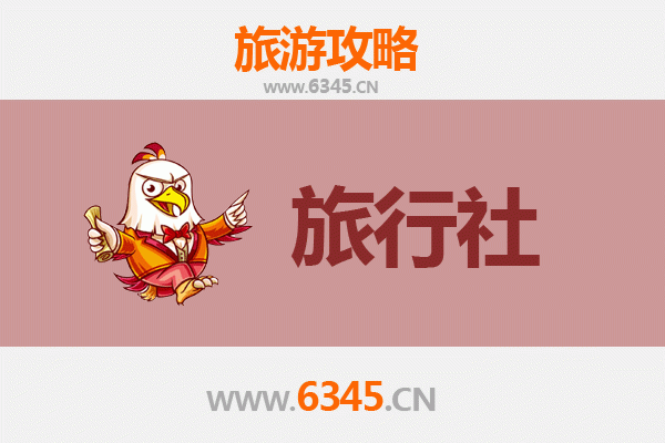 宝鸡凤翔旅游攻略：本地旅行社推荐与深度游玩指南