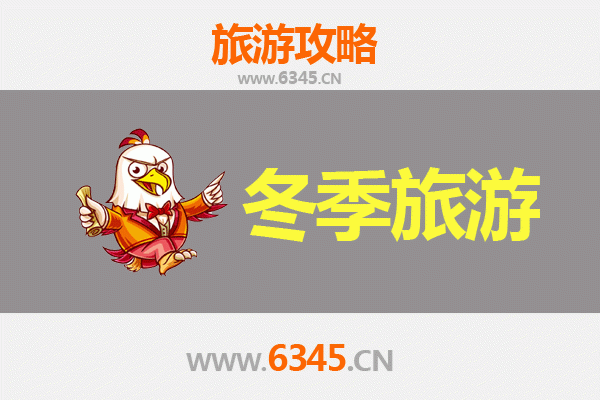 冬日凤翔：秦文化探秘与暖意之旅